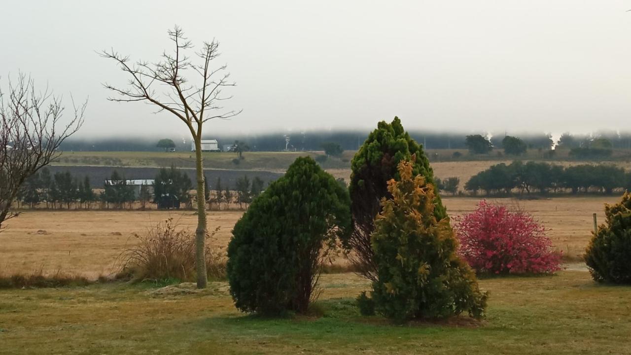 Riachuelo Pilmaiquen 빌라 외부 사진